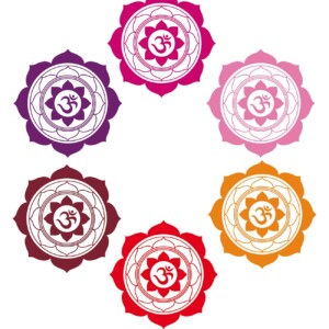 OM Mandala Wandtattoo in 31 Farben und 5 Grössen